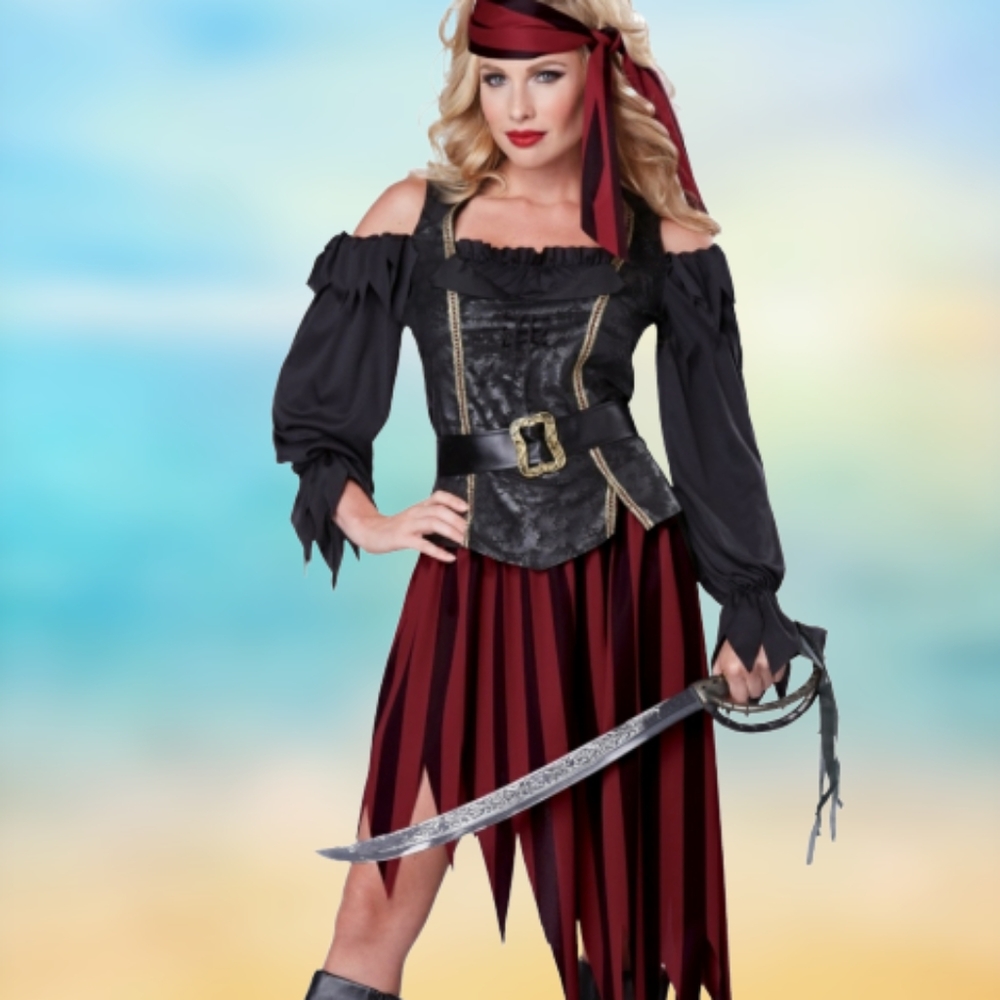 NEW QUEEN OF THE HIGH SEAS PIRATE COSTUME Large